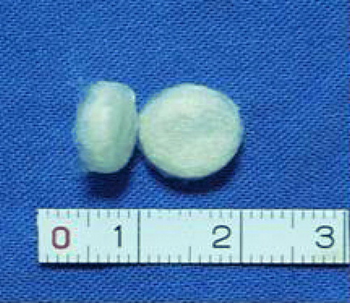 Figure 3.  PGA/PLA scaffolds.