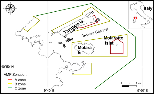 Figure 1. A, Location of the Tavolara-P.ta Coda Cavallo Marine Protected Area (MPA). B, the position of the investigated limestone (white spots) and granite (grey spots) sites. White spots: limestone sites (Archetto (Ar); Cala Cicale (CC); Occhio di Dio (OdD); Papa Shoal 1 (P1); Papa Shoal 2 (P2); Papa Point (PP); Punta Timone (PT); Grottone (Gr); Picchi della Mandria (PdM); Tegghja Liscia (TL)). Grey spots: granite sites (NEW 01 (N1), Mandria Shoal (N26), NEW 27 (N27), NEW 34 (N34), Angelo Shoal (N35), Lulù Shoal (N36), NEW 38 (N38), NEW41 (N41), NEW 118 (N118), Pinnacolo (N151)). The colored polygons are the boundaries of the zones with different levels of protection. Red, fully protected (no entry-no take) zones; yellow and green (partially protected) buffer zones. WGS84 reference coordinate systems.
