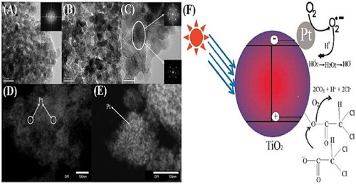 Figure 11. TEM images of mesoporous Pt/TiO2 nanocomposites calcined at 450°C for 4 h: PtTiO2-3 (A) and in situ prepared PtTiO2-1 (B). HRTEM image of PtTiO2-3 (C), Dark-field TEM image of mesoporous PtTiO2-1 nanocomposites (D) and PtTiO2-3 nanocomposites (E). Schematic for the photocatalytic degradation of dichloroacetic acid over Pt/TiO2 nanocomposites (F). Adapted from reference ( Citation42) with permission. Copyright 2011, American Chemical Society.