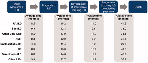 Figure 2. Patient journey in non-IPF progressive fibrosing ILDs. Data from online survey of physicians (pulmonologists, n = 243; rheumatologists, n = 203; internists, n = 40). Survey question: “Please estimate the average duration of the following for the different ILDs: time from symptom onset to diagnosis of ILD; time from diagnosis of ILD to development of ILD that is fibrotic and progressing; time from development of ILD that is fibrotic and progressing to point where fibrotic and progressing ILD is detected by physician; time from point where fibrotic and progressing ILD is detected by physician to patient death”. Rheumatologists were only asked this question in relation to RA-ILD, SSc-ILD and other CTD-ILDs. Abbreviations. CTD, Connective tissue disease; HP, Hypersensitivity pneumonitis; IIP, Idiopathic interstitial pneumonias; ILD, Interstitial lung disease; iNSIP, Idiopathic non-specific interstitial pneumonia; IPF, Idiopathic pulmonary fibrosis; RA, Rheumatoid arthritis; SSc, Systemic sclerosis.