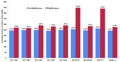 Figure 2. Peroxidase activity (50 DAS) in V. mungo leaves as influenced by B. tabaci feeding.