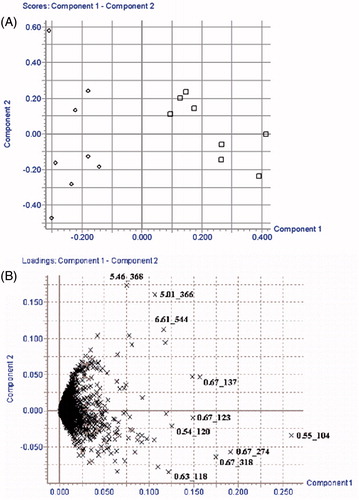 Figure 3. PCA score plot (A) and corresponding loading plot (B) of kidney samples in the time-point of 10th week post-dose for rats administrated with PE section of EPR. (□) HCG and (△) PEG.