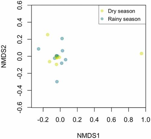 Figure 5. Non-metric multidimensional scaling (NMDS) for the abundance of bird species observed during the dry (yellow dots) and rainy (blue dots) season in BP puyango. Dots represent species’ abundances found within a sampling unit.