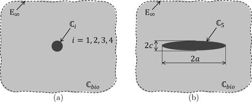 Figure 3. Eshelby-type matrix inclusion problems: (a) spherical inclusion, and (b) oblate spheroid, both embedded in an infinite matrix with isotropic stiffness Cbio, subjected remotely to auxiliary uniform strains E∞.