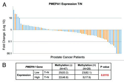 Figure 2. (A) Quantitative RT-PCR expression analysis of PMEPA1 transcript in LCM derived paired normal and tumor cells of primary CaP revealed decreased expression of PMEPA1 in two-third of CaP patients (Log 10 tumor/normal [T/N]). Cases (tumors) with methylated PMEPA1 gene are highlighted in golden color. (B) Reduced PMEPA1 gene expression correlates with PMEPA1 gene methylation.