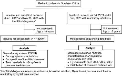 Figure 1. Data handling process and analysis diagram. There were 1,33,674 patients were included for data analysis. Additionally, macrolide-resistance-mutation characteristics of Mycoplasma pneumoniae were analysed based on samples from 299 patients.