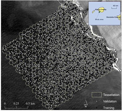 Figure 1. Location of the study area in Kauai County, Hawaii. The tessellation divided the study area into geographical model spaces. Each hexagon had an area of 6000 m2. The sample data are split to training (black dots) and validation (white dots) sets. The background image is the green band image of IKONOS with 4 m resolution.
