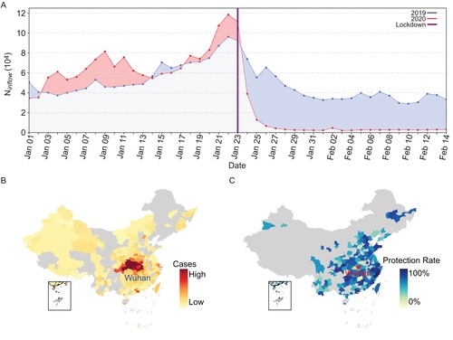 Figure 1. Impact of Wuhan’s travel ban on 2019-nCoV spread in China. (A) Population movement data for Wuhan between 1 January and 14 February 2020, and during the same lunar period of 2019. (B) Heat map of additional cases for cities in China, caused by cancelling Wuhan’s travel ban on 23 January 2020. (C) Protection rate heat map for cities in China based on a three-day-earlier lockdown of Wuhan. Protection rate was calculated as percentage of reduction from the observed cases. Cities without population influx from Wuhan (B) and without confirmed cases (C) between Jan 24 and Jan 30, 2020, are in grey (check supplementary materials for more details).