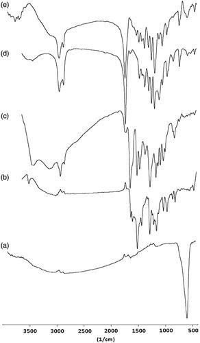 Figure 3. The FTIR spectra of (a) Fe3O4, (b) CUR, (c) SIL, (d) PCL–PEG–PCL, (e) CUR–SIL loaded PCL–PEG–PCL MNPs.