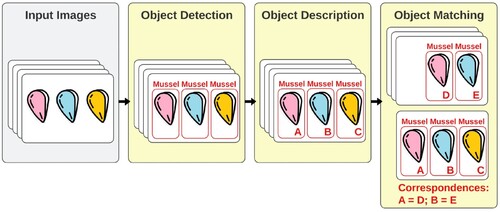 Figure 2. An example of a multi-object tracking task.