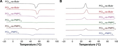 Figure 3 DSC curve of different polymers for heating (A) and cooling (B).Abbreviations: PCL-ss-iBuBr, poly(ε-caprolactone) with OH-ss-iBuBr opening-ring polymerization; DSC, differential scanning calorimetry; PCL-ss-PMPC, poly(ε-caprolactone)-b-poly(2-methacryloyloxyethyl phosphorylcholine) with disulfide; PCL-PMPC, poly(ε-caprolactone)-b-poly(2-methacryloyloxyethyl phosphorylcholine) without disulfide.