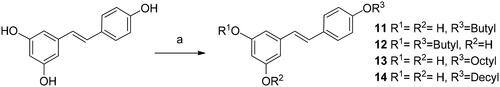 Scheme 2. Synthesis of alkyl resveratrol derivatives 11–14. Reagents and conditions: (a) 1-iodobutane, 1-bromooctane or 1-bromodecane, K2CO3, DMF.