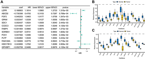 Figure 2 Functional enrichment analysis of candidate prognosis-related lipid metabolism DEGs (A) Forest map of lipid metabolism-related DEGs associated with prognosis. (B) Expression of prognostic lipid metabolism DEGs in TCGA, where the horizontal axis represents different gene, the vertical axis represents the gene expression distribution, where different colors represent different groups. Asterisks represent levels of significance, ****p < 0.0001. (C) Expression of prognostic lipid metabolism DEGs in GSE109169, where the horizontal axis represents different gene, the vertical axis represents the gene expression distribution, where different colors represent different groups. Asterisks represent levels of significance ***p < 0.001, ****p < 0.0001.