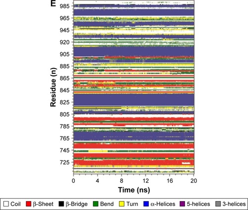 Figure 7 Secondary structural changes in HER2a, HER2b, HER2c, HER2d, and HER2e (A, B, C, D, and E, respectively) during 20 ns of molecular dynamic simulations, reported through Database of Secondary Structure of Proteins software.