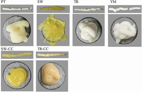 Figure 3. Appearance of pastes with 80% moisture content and commercially available care foods when squeezed out by an adaptive feeding device for persons with eating disorders. Abbreviations are the same as in .Table 1 and Figure 2