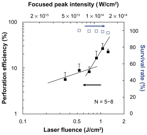 Figure 5 Dependence of perforation efficiency evaluated by using fluorescein isothiocyanate-dextran (closed squares) and survival rate (open squares) on the laser fluence.Notes: A single shot of 80-fs laser pulse was irradiated. The corresponding peak focused intensity under the polylactic acid sphere which was derived from Figure 2 is also shown on the top horizontal axis.Abbreviation: fs, femtosecond.