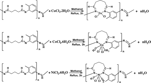 Figure 2. The structure of the synthesized polymeric coordination polymers.