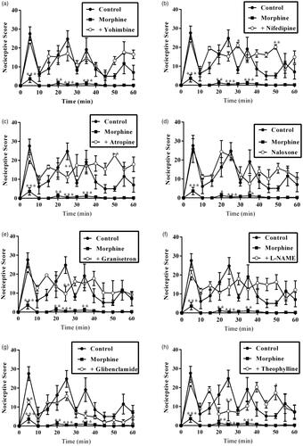 Figure 7. Effect of pretreatment of mice with (a) yohimbine (3 mg/kg, p.o.), (b) nifedipine (10 mg/kg, p.o.), (c) atropine (5 mg/kg, i.p.), (d) naloxone (2 mg/kg, i.p.), (e) granisetron (2 mg/kg, p.o.), (f) L-NAME (10 mg/kg, i.p.), (g) glibenclamide (8 mg/kg, p.o.) and (h) theophylline (10 mg/kg i.p.) on the total nociceptive score of morphine (3 mg/kg, i.p.) on the time-course curves of formalin-induced nociceptive test. Each point represents the mean of five animals and the error bars indicate SEM. ***p < 0.001, **p < 0.01 and *p < 0.05 compared the control group at same time points (two-way ANOVA followed by Bonferroni’s post hoc test).