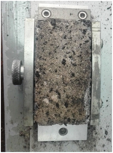 Figure 5. RCR sample with crumb rubber particles projecting above the surface.