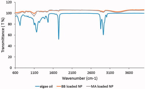 Figure 9. FTIR spectrum of algal oil and nanoparticles loaded with the extracts of BB and MA.