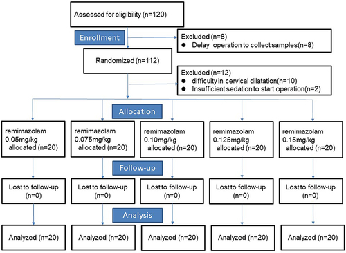 Figure 1 Patients recruitment and analysis.