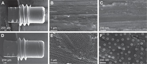 Figure 1 SEM analysis of the surface topography.Notes: The low magnification SEM micrographs show the overall geometry of the Ma (A) and the Nano (D) implants. The higher magnification SEM micrographs show the underlying surfaces at the micron scale of Ma (B) and Nano (E) implants. The high-resolution SEM micrographs show the surface of the Ma (C) and the superimposed nanotopography on the Nano implants (F).Abbreviations: SEM, scanning electron microscopy; Ma, machined; Nano, nanopatterned.