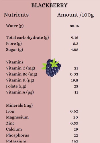 Figure 3. Nutrient composition of blackberries in (wetbasis, wb %) (FoodData Central Citation2021).