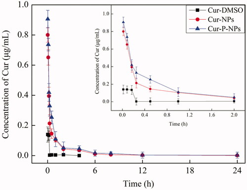 Figure 9. Concentration of Cur in plasma versus time after intravenous injection of Cur-DMSO, Cur-NP, and Cur-P-NP solution.