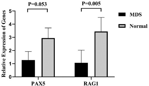 Figure 3. The relative expression levels of PAX5, and RAG1 in MDS patients and normal controls (MDS = 20, Normal = 10).