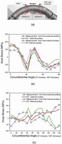 Figure 3. (a) A representation of the measured bent pipe [Citation3], (b) axial stress plot, and (c) hoop stress plot as a function of a circumferential angle at the Apex location from both the FEA and the measurement data