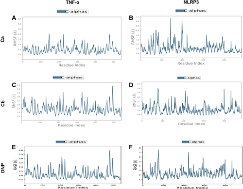 Figure 5 Representation of RMSF for the Ca, Cb, and DNP using the Desmond software package. (A) Ca-TNF-α complex, (B) Ca-NLRP3 complex, (C) Cb-TNF-α complex, (D) Cb-NLRP3 complex, (E) DNP-TNF-α complex, (F) DNP-NLRP3.