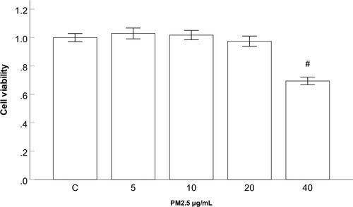 Figure 2 Effect of PM2.5 on HBEC viability.
