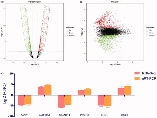 Figure 2. Differential gene identification and target gene expression verification by qRT-PCR. (a) Each dot in the volcano map represents a gene, with red dots representing up-regulated genes, green dots representing down-regulated genes, and black dots representing genes with no significant change in expression. The x-axis shows the difference in the expression level of the genes, while the y-axis shows the significance of the gene expression level. (b) The x-axis shows log2 (FPKM), which is the log value of the average expression quantity in the two samples. The y-axis shows log2 (FC), which is the logarithm of the multiple of gene expression differences between two samples, and is used to measure the difference in expression levels. (c) qRT-PCR was used to verify the expression of six candidate genes identified by methylation analysis and RNA-Seq, that may lead to drug resistance. Log 2 FC/RQ is the logarithm of the fold change or relative quantity in base 2. Error bars represent the standard deviation (STDEV) of the qRT-PCR analysis (n = 3).