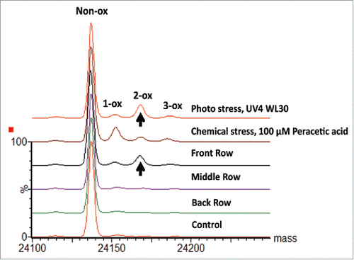 Figure 9. Deconvoluted spectra of mAb-A DP samples. Overlaid deconvoluted mass spectra of mAb-A scFc subunits are presented for samples collected from different positions in the vial tray along with results from photo and chemically stressed samples.