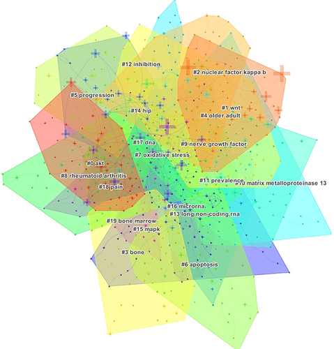 Figure 8 Visual mapping of keyword clustering for OA signaling pathway research.