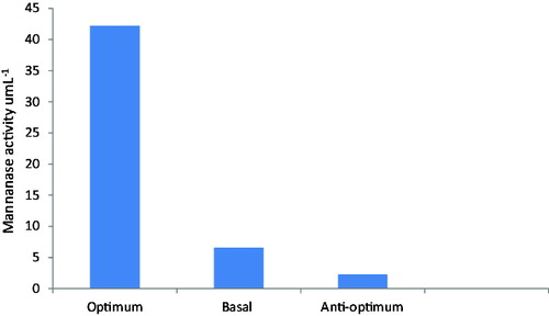 Figure 2. Verification experiment for mannanase activity produced by B. cereus N1.