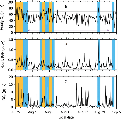 Figure 4. Time series of hourly (a) O3, (b) PAN, and (c) NOx measured at CAVE during the study period between July 25 and September 5, 2019. Five days with MDA8 O3 > 70 ppbv are highlighted by the orange shaded bars. Eight days when 65 < MDA8 O3 ≤ 70 ppbv are highlighted by the blue shaded bars. In panel (a), the 70 ppbv NAAQS for O3 and a threshold of 65 ppbv also utilized in this work are denoted by the solid and dashed horizontal gray lines, respectively, and purple arrow indicates the date range when NMVOC measurements are available.