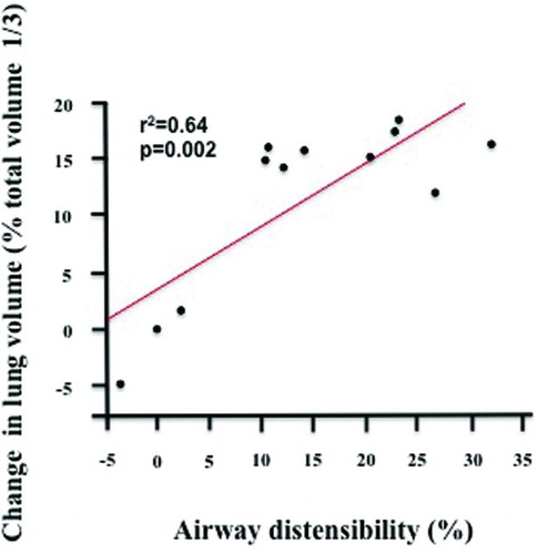 Figure 2.  Correlation between the change in lung volume as measured by HRCT (to the 1/3 power) and the change in airways distensibility by deep inspirations in the asthmatic group (r2 = 0.64, p = 0.002).