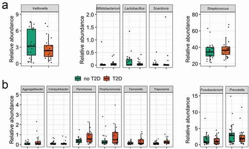 Figure 5. Relative abundance (%) in T2D and no-T2D groups of (a) acidogenic caries-associated taxa, and (b) proteolytic periodontitis-associated taxa. Wilcoxon test (significance level <0.05).