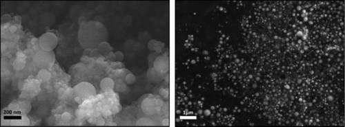 FIGURE 4. SEM micrographs of (a) FeSi furnace fumes with a geometric mean aerodynamic diameter of 0.31 μm and (b) SiMn furnace fumes with a geometric mean aerodynamic diameter of 0.31 μm