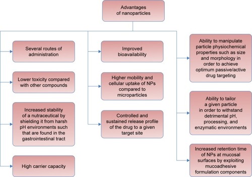 Figure 1 Diagram showing the main advantages of nanoparticles (NPs).Note: Data from various studies.Citation2,Citation22,Citation28,Citation201–Citation204