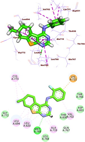 Figure 8. Compound 5b docked into the active site of EGFRWT forming 1 HB with Met769 and 12 HIs with Lys721, Val702, Ala719, Leu820, Cys773, and Leu694.