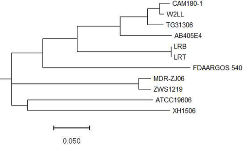 Figure 4 Phylogenetic analysis of A. baumannii W2LL and other publicly available strains based on cgSNP strategy.