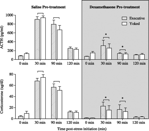 Figure 1 Shown are plasma ACTH and corticosterone concentrations measured on Day 2 of foot-shock stress, in rats subjected to either escapable (executive) or inescapable (yoked) foot-shock stress. Rats were pretreated with either 0.9% saline or dexamethasone (100 μg/kg, s.c.) 2 h prior to stress initiation on Day 2. Both ACTH and corticosterone secretion were significantly inhibited by dexamethasone; * indicates a significant difference, p ≤ 0.05, from the saline groups at the same time point, n = 8 rats for each group. There was no effect of stressor controllability on the suppressive effects of dexamethasone on ACTH and corticosterone secretion.