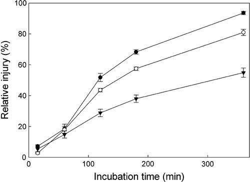 Fig. 5  Effect of heat treatment on cell membrane stability at different leaf stages. Membrane stability was expressed as relative injury (%) calculated by comparing solute leakage in leaf discs incubated at 22 and 47 °C. Data are means±SE for four replicates. All differences between leaf stages beyond the 60-min treatment were statistically significant at p<0.05. Closed circle, mature; open circle, immature expanded and thickening; triangle, immature expanding.