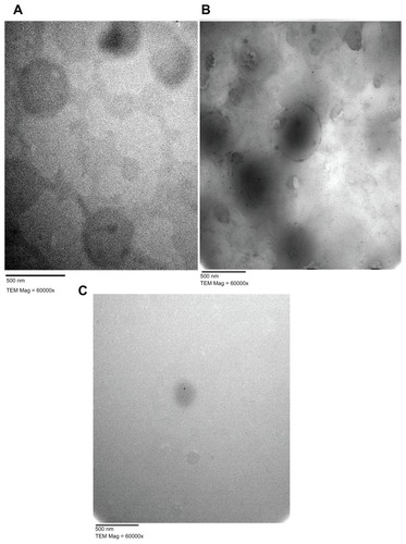Figure 5 Electron micrographs of MZA-loaded NLMs. (A) NLM-5, (B) NLM-6, (C) NLM-9.Abbreviations: MZA, methazolamide; NLMs, nanostructured lipid matrices; TEM, transmission electron microscope.