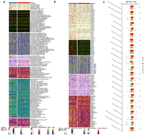 Figure 2. Immune landscapes between the subgroups.