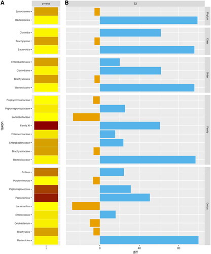 Figure 9. The taxa found on day 28 (T2) grouped into different phylogenetic levels with the relative abundance for each bacterial group. The intensity of the colour (from light yellow to burgundy red) is directly proportional to the statistical significance of the data.