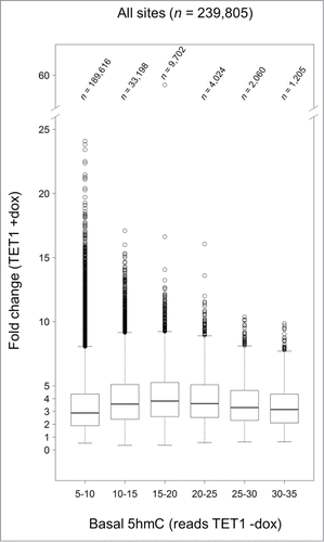 Figure 7. TET1-mediated 5mC oxidation is associated with endogenous 5hmC levels. Endogenous 5hmC read levels in control cells (reads TET1 -dox) are compared to the fold changes of 5hmC that occurred after TET1 overexpression (TET1 +dox). Sites with basal 5hmC levels corresponding to 15–20 reads showed the highest increase. Only CpG sites with 5 or more reads in TET1-overexpressing and control cells were considered. Boxes mark the interquartile range with whiskers indicating the 1.5 × interquartile range. Outliers beyond the whiskers are plotted.