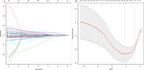 Figure 3 Lasso regression. (A) LASSO coefficient path. (B) Cross-verification.